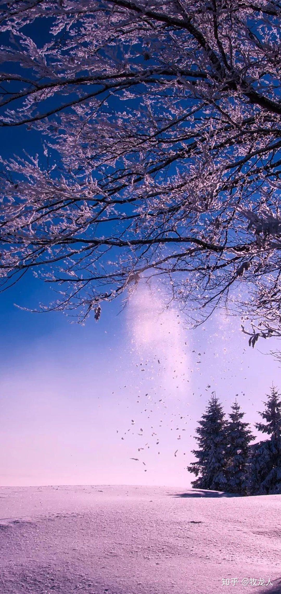 有什么很好看的图片?