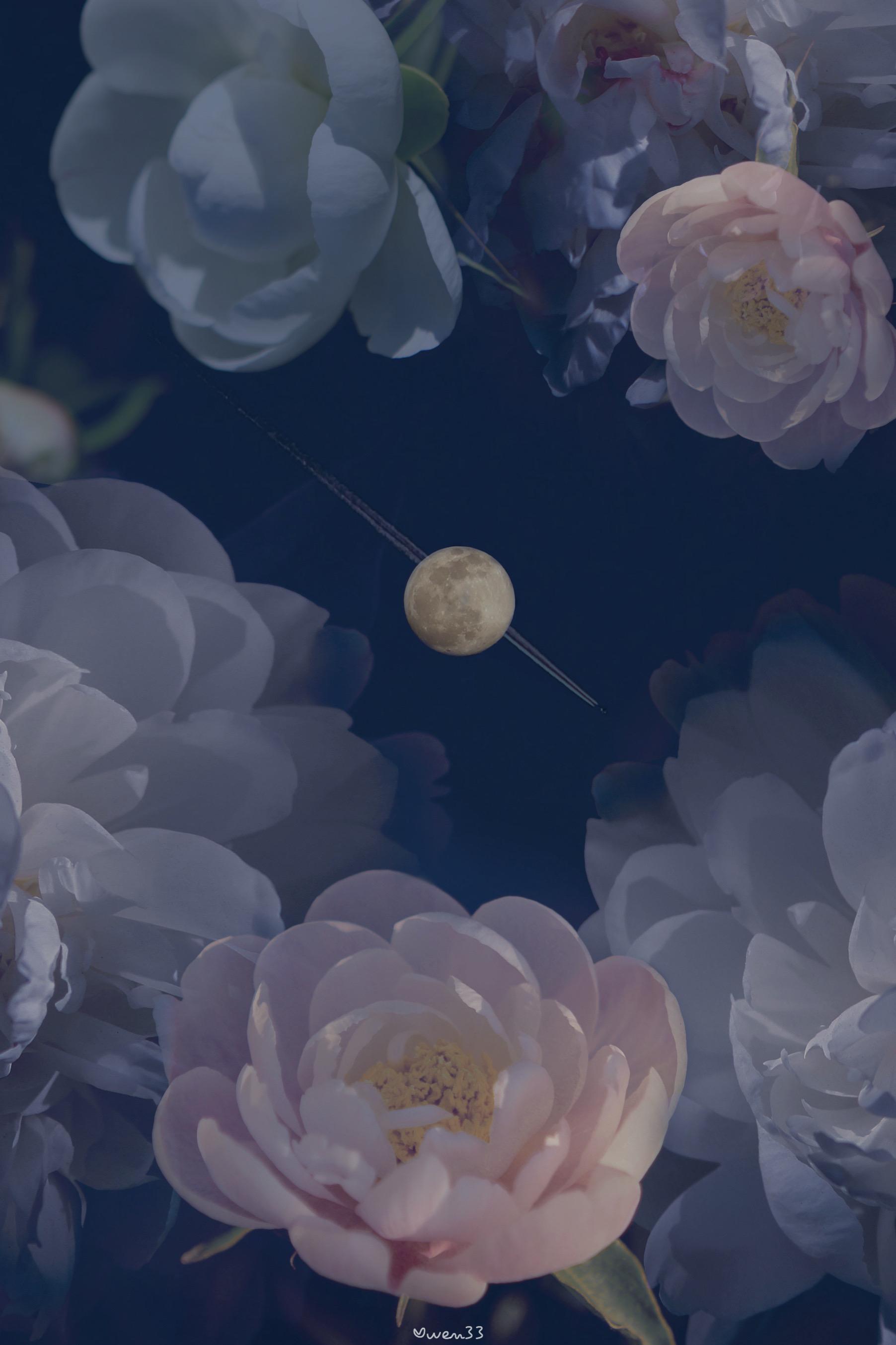 有哪些适合微信深色模式的聊天壁纸