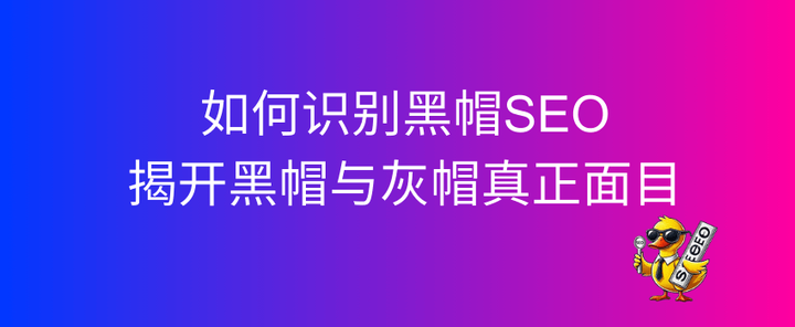 好的seo学习网站黑帽seo的简单介绍