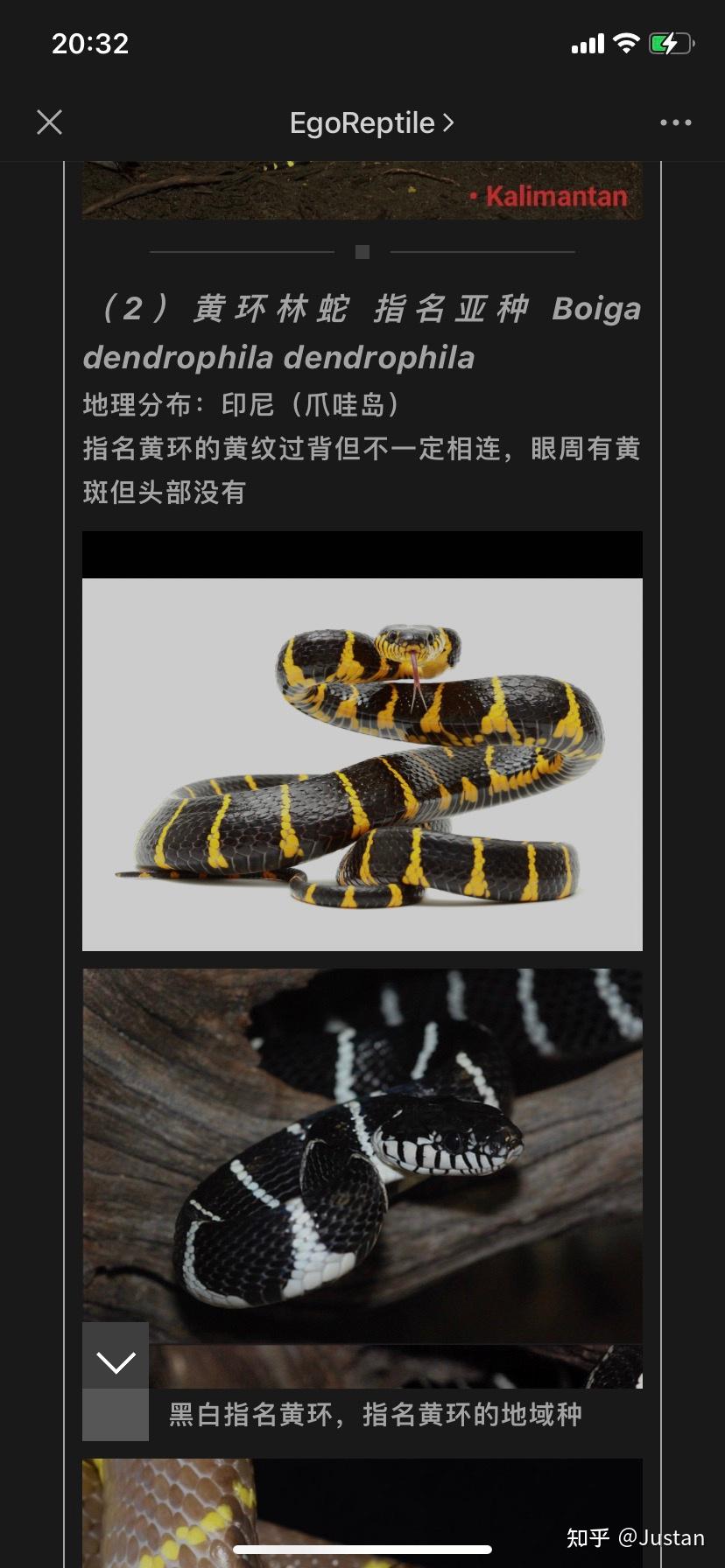 黑色黄纹是什么蛇?