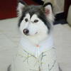 婷婷同学