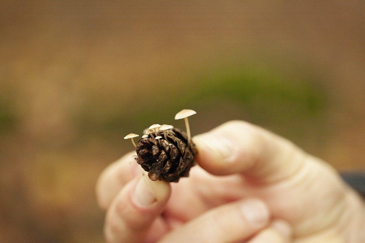 玉雕需要什么工具