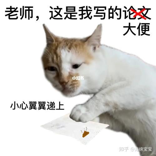 研三了延毕了当了一辈子的乖乖女终于还是闹出了笑