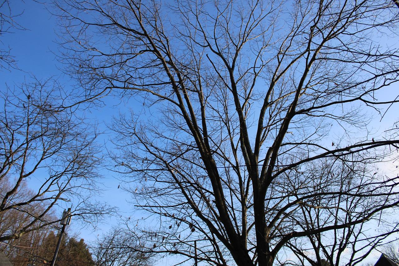 4. 房价走势分析