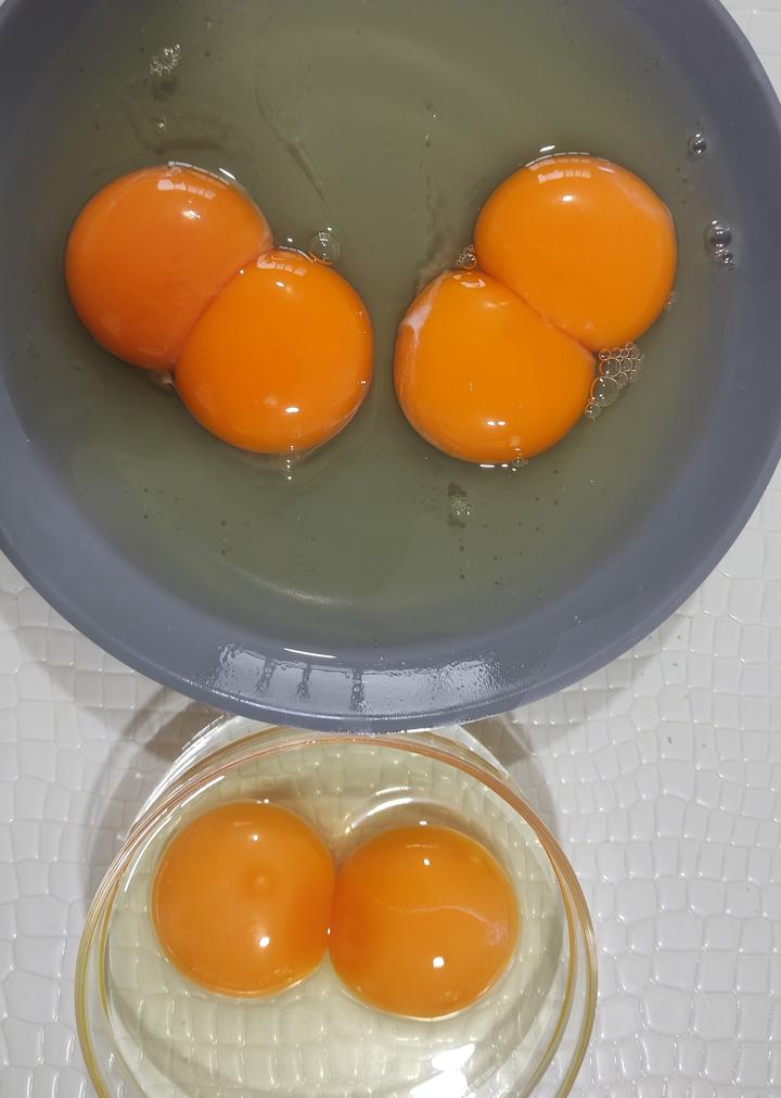 双黄蛋孵化成功图片