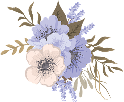 3. 提升审美能力