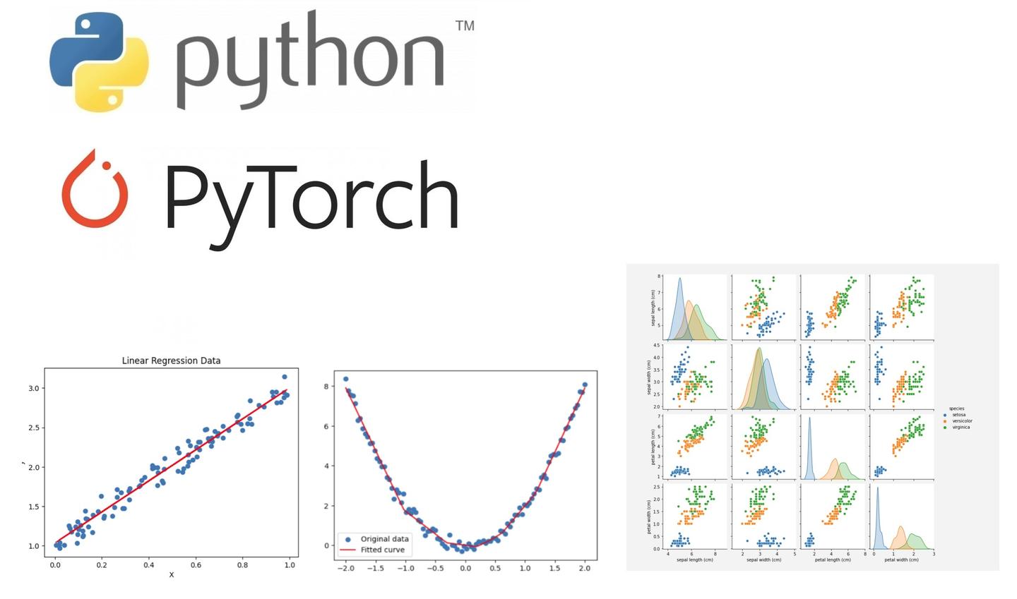深度学习入门：pytorch实现二分类和多分类 - 知乎