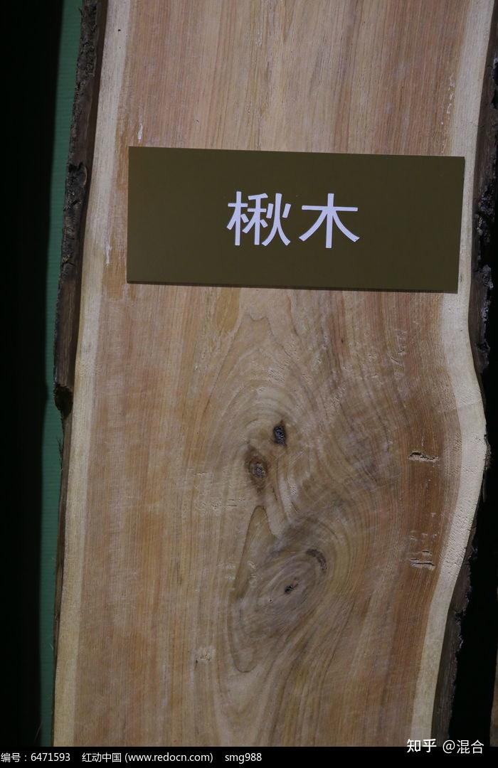 楸木的优点都有哪些? - 知乎