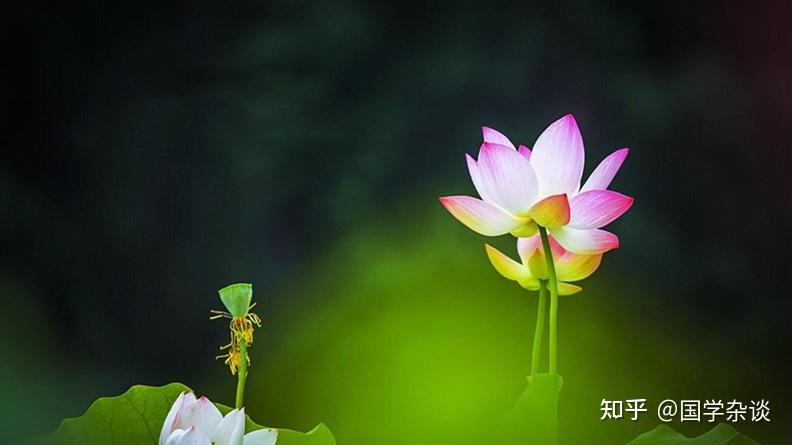 戒除邪淫，不外乎这三种方法，尤其是第三种，才是最究竟的！ - 知乎