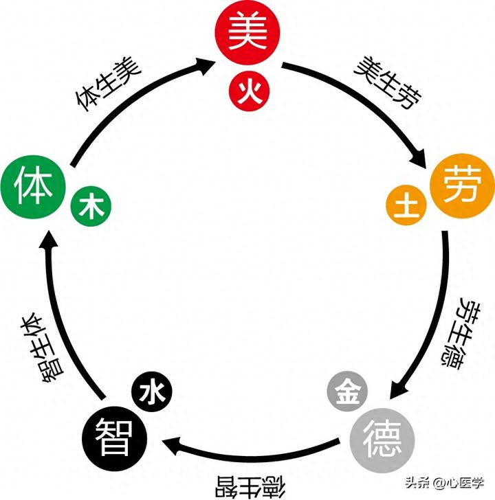 五行坐标系｜五育（五行）相生循环而“生生不息” - 知乎