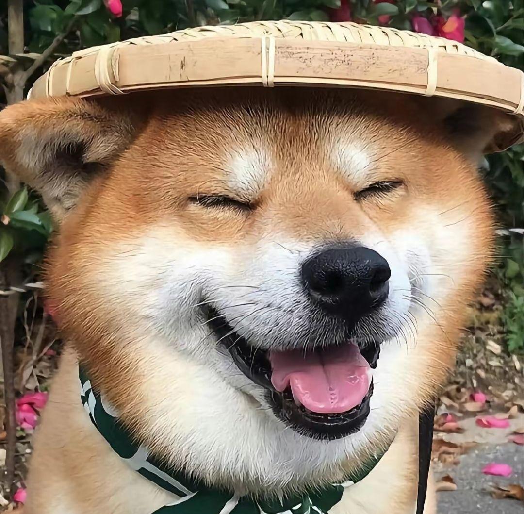 你最喜欢哪个中二表情头像