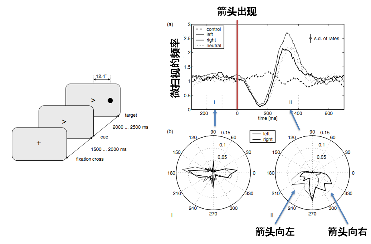 眼动仪在心理学实验中有什么应用