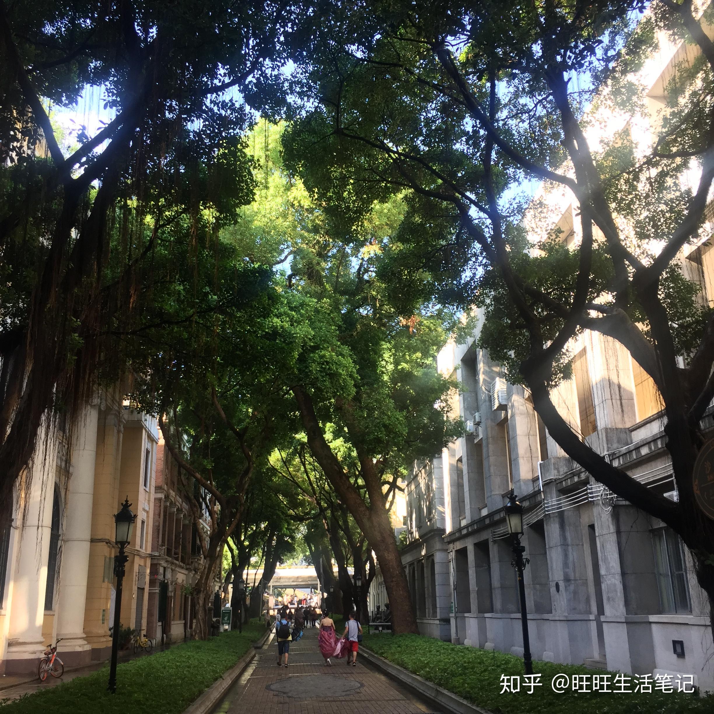 广州两日游攻略,一条超适合带朋友玩转广州的路线 - 知乎