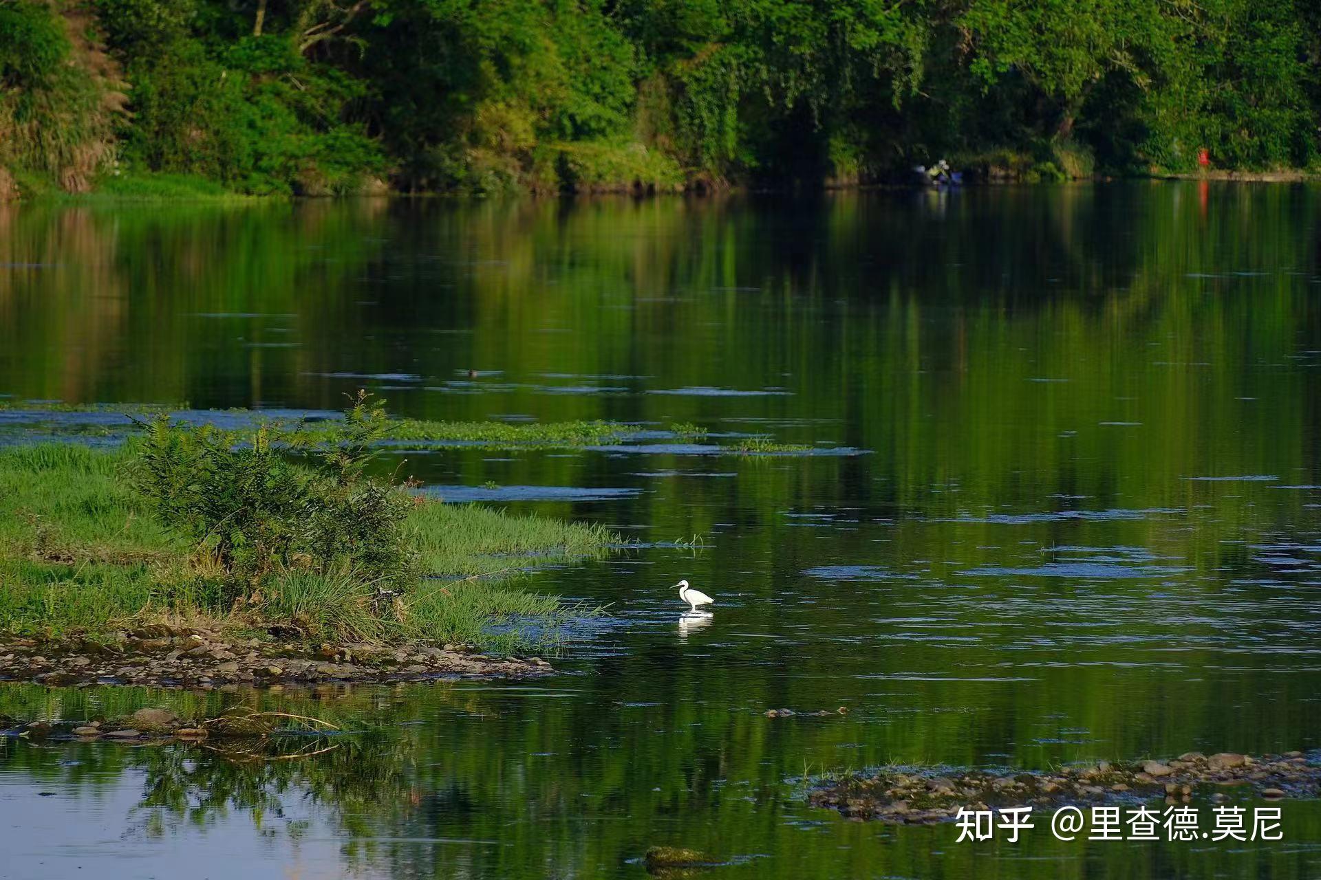 绿水环流的意思图片