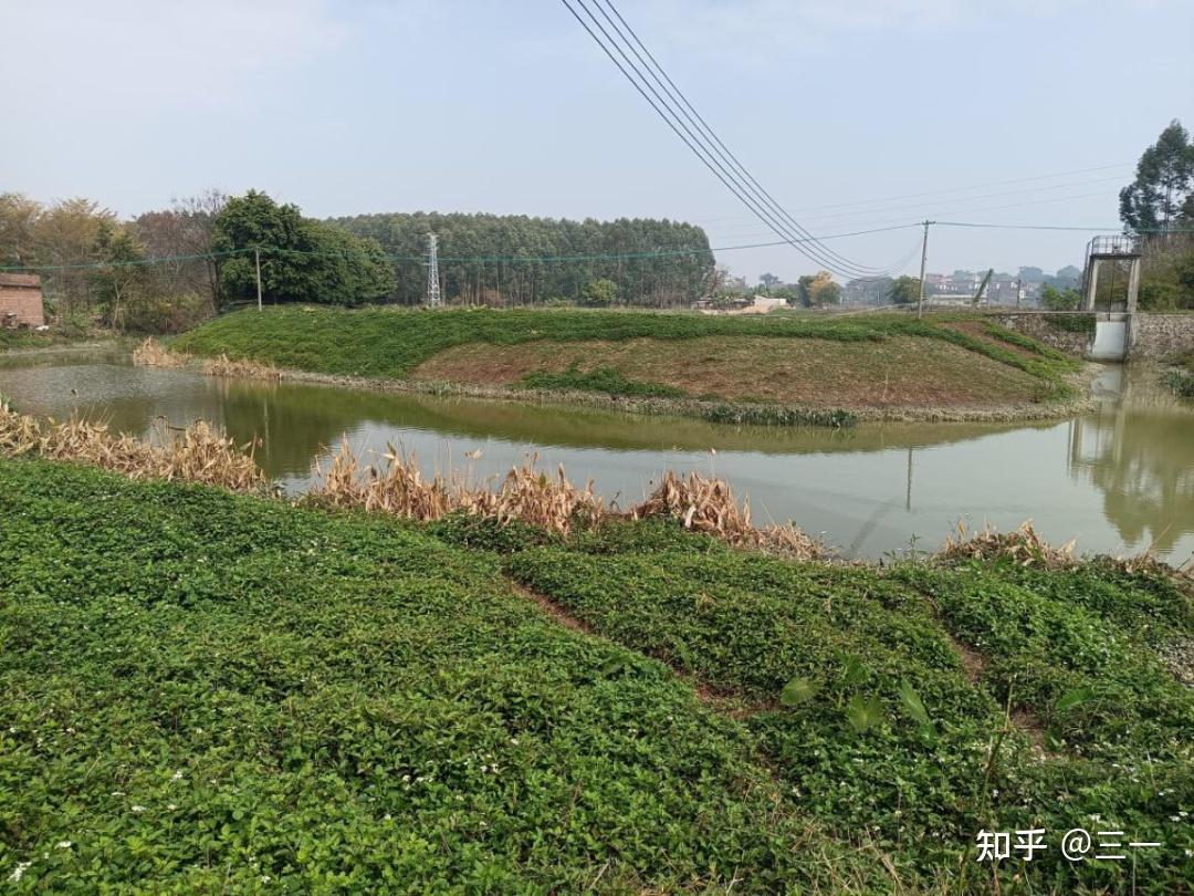 养鱼先养水 | 池塘改造提升,这7种尾水处理模式值得收藏 - 知乎