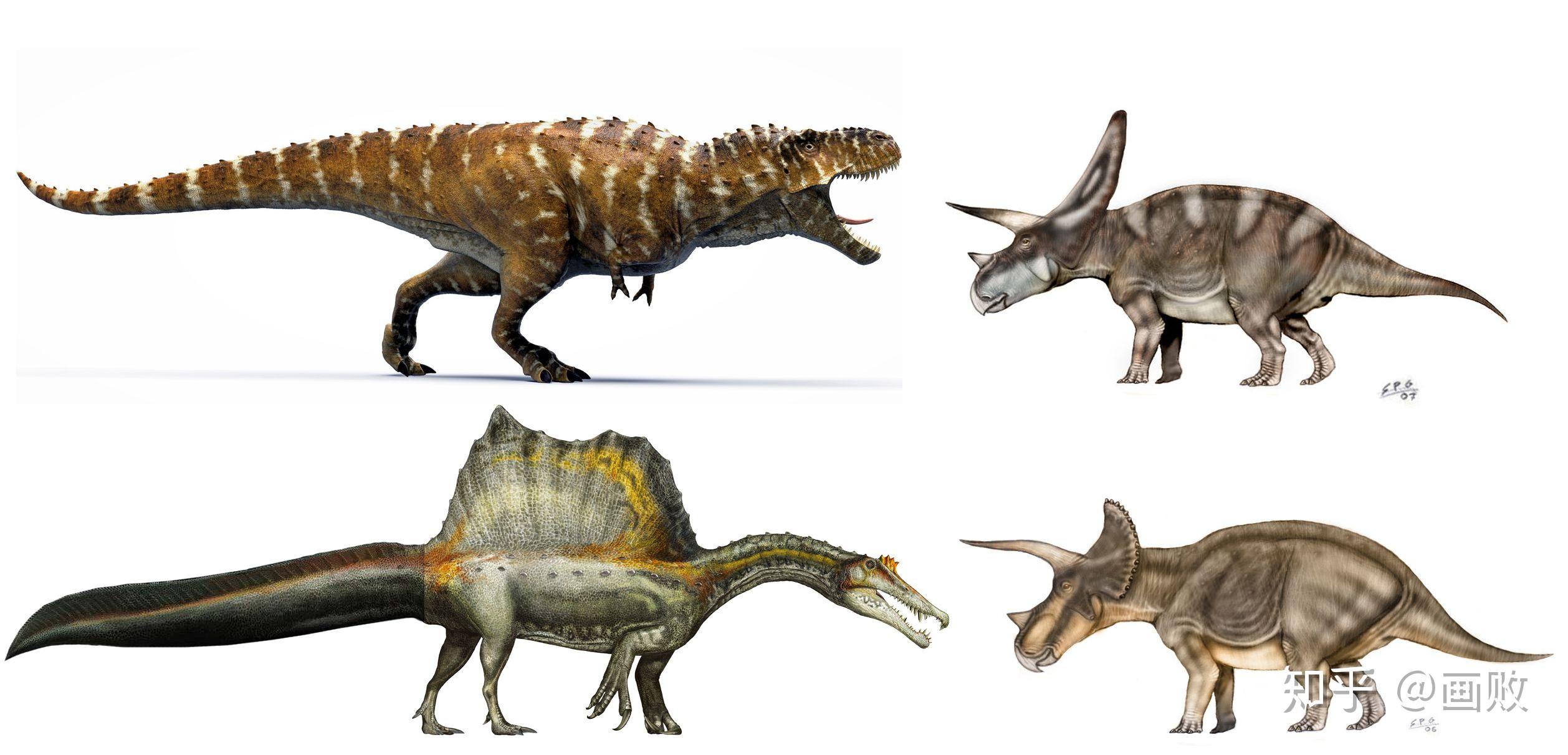 如何看待棘龙新出土的尾部化石,新的复原长有尾鳍?
