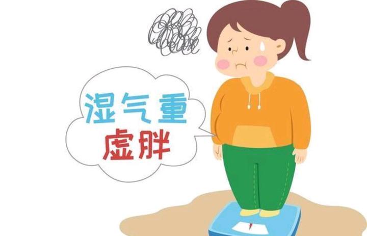 湿气重的那些事儿与应对之法 - 知乎