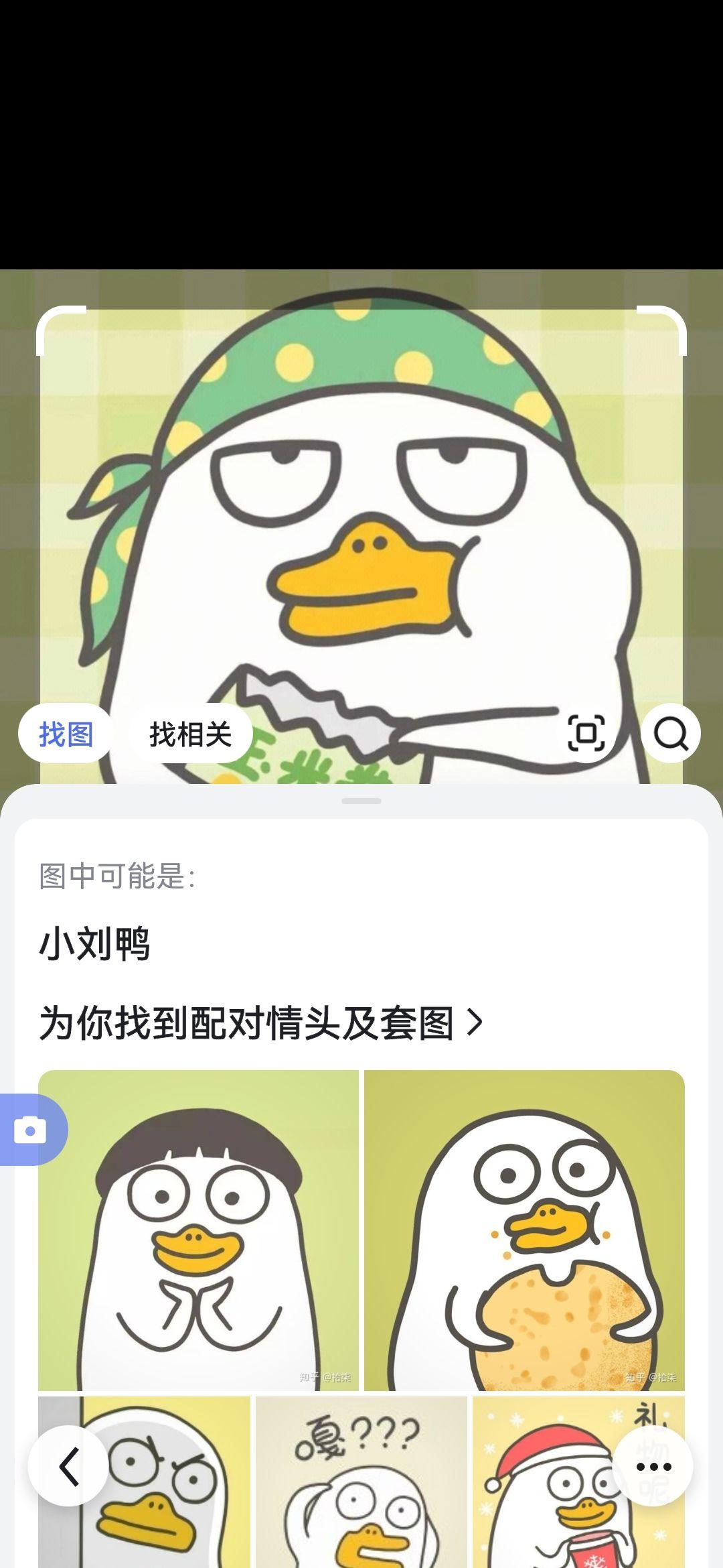 鸭鸭表情包APP图片