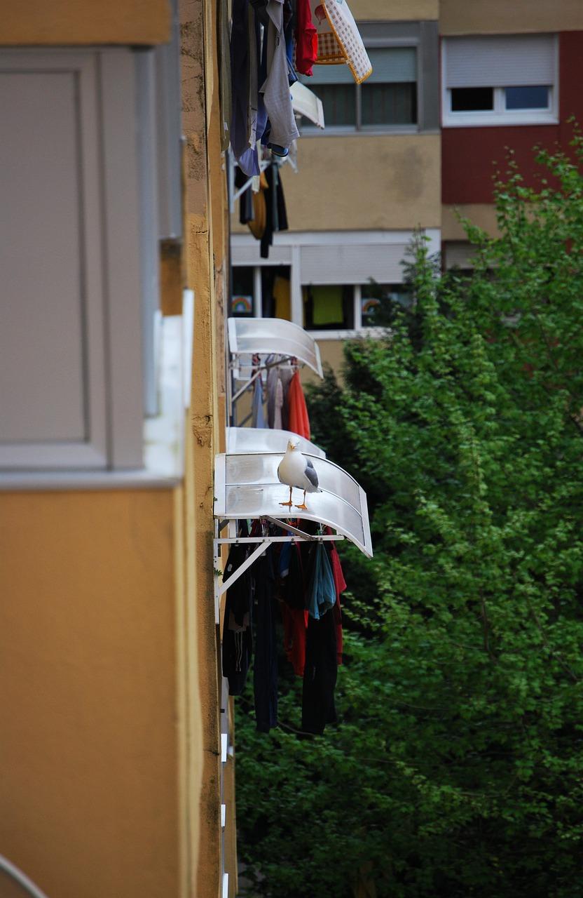 3. 阳台回忆之歌