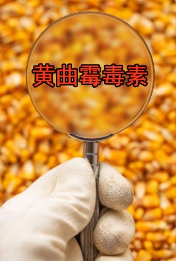 饲料原料中黄曲霉毒素的脱毒处理方法