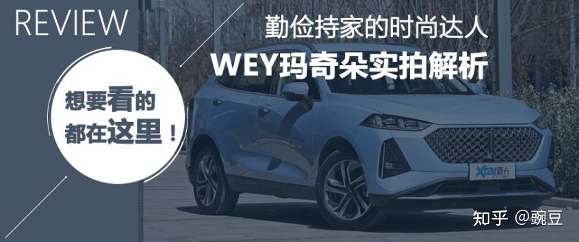 wey全新车型命名为摩卡拿铁卡布奇诺玛奇朵如何看待当前国产车的命名