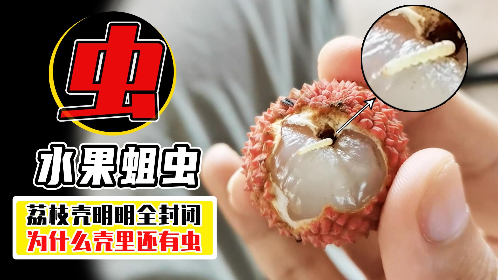 盘点3个长虫的水果,第3个吃了还会进医院 - 知乎