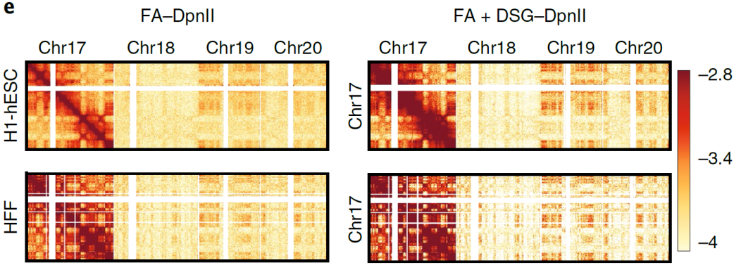重磅升级丨Hi-C技术发明人Job Dekker发布高精度Hi-C 3.0技术 - 知乎