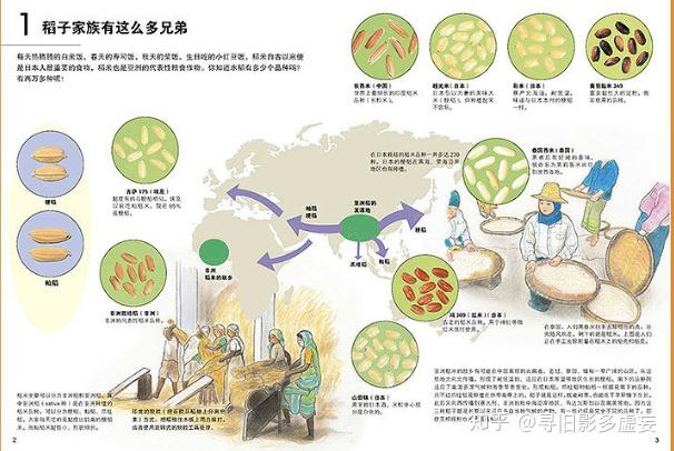 余秀华《我爱你》中"告诉你稻子和稗子的区别",请问有没有书真的写有