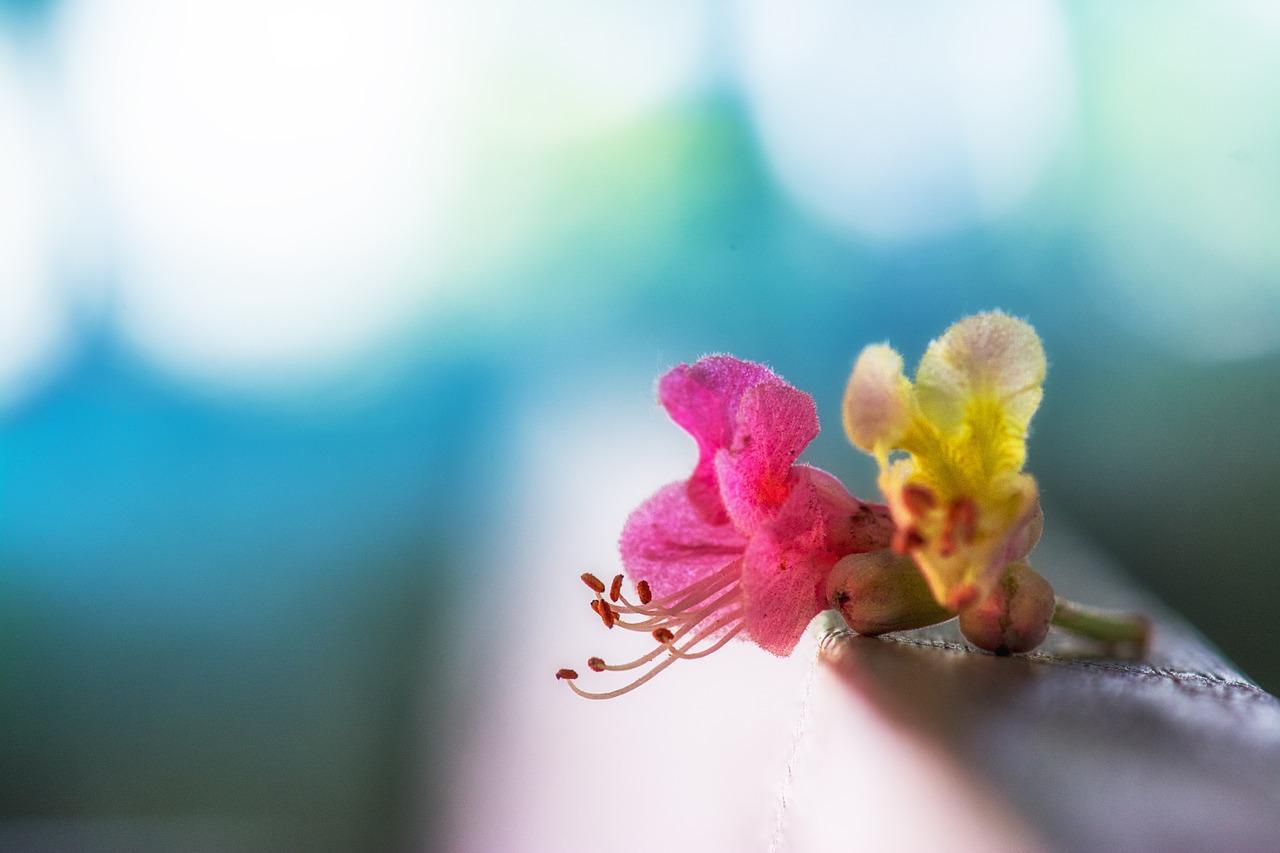 暗红搭配什么颜色