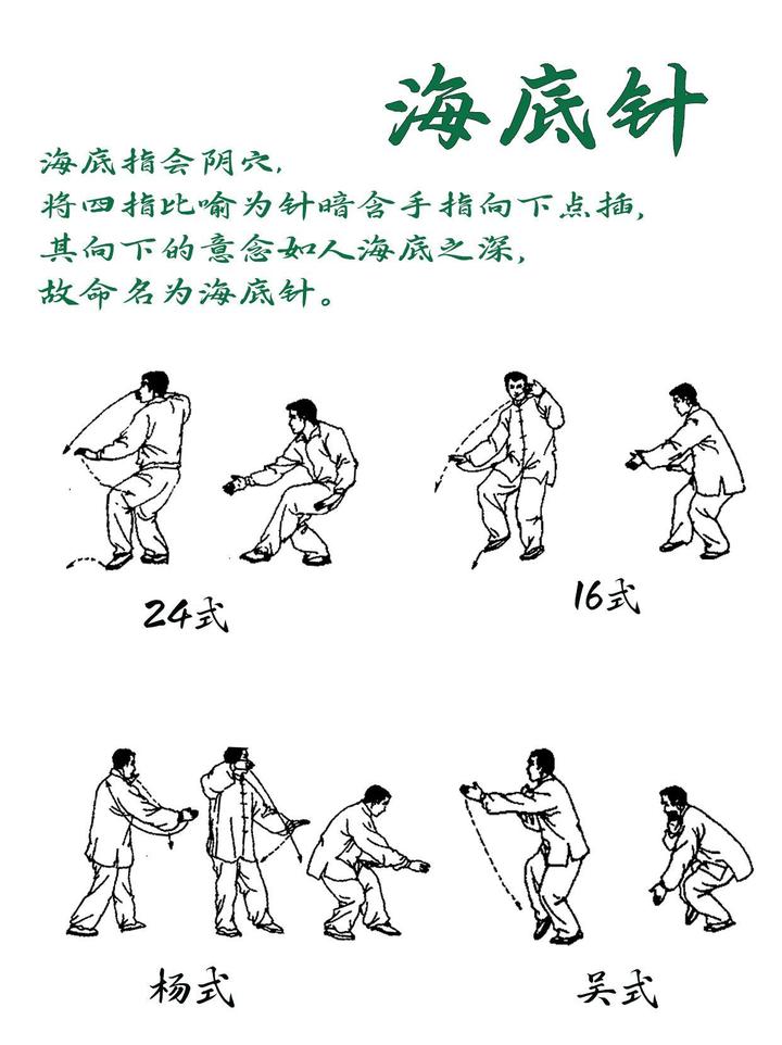 讲解杨丽太极拳动作-海底针 - 知乎
