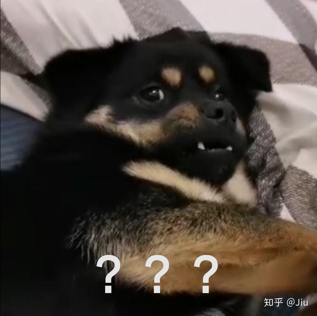 中华田园犬中的四眼狗是什么犬类？ - 知乎