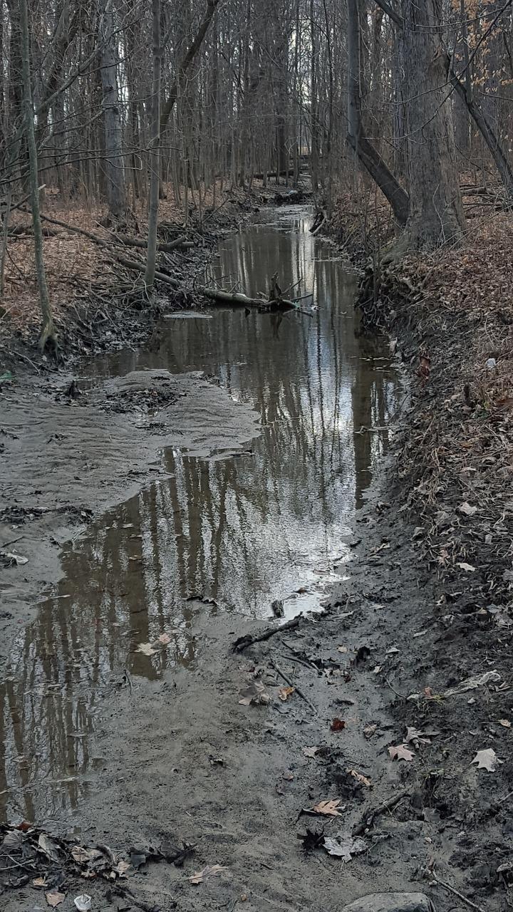 4. 洛河书写规范