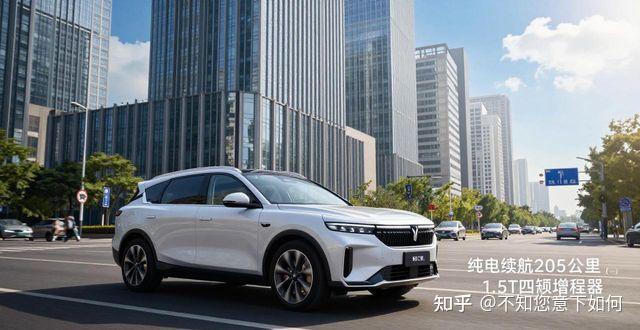 岚图FREE 30万级豪华大五座SUV 真续航无焦虑怎么选