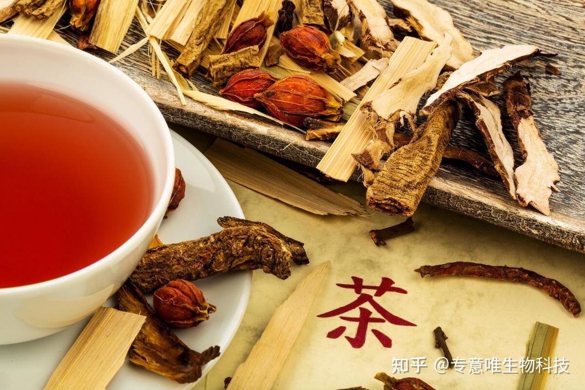 茶疗,将中医药文化与茶文化推向世界 - 知乎