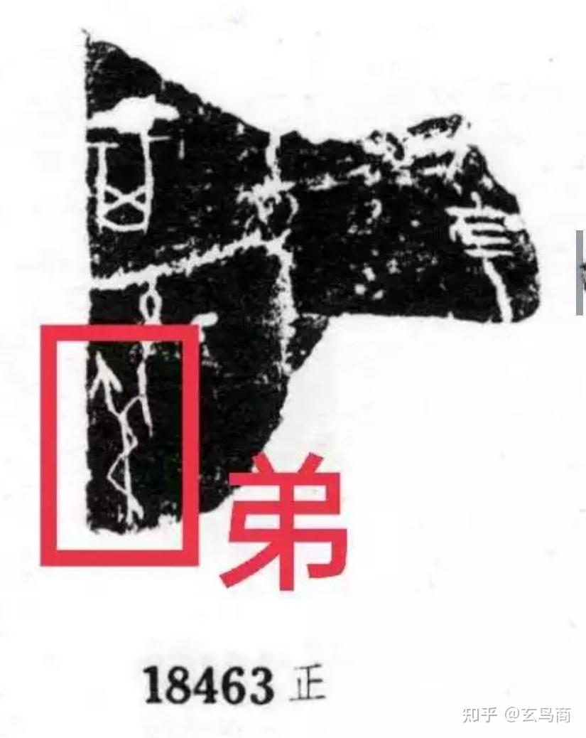 “舅”字甲骨文、金文象形原型 - 知乎