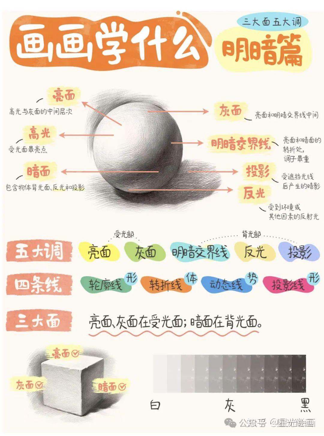 绘画基础知识合集全干货 - 知乎