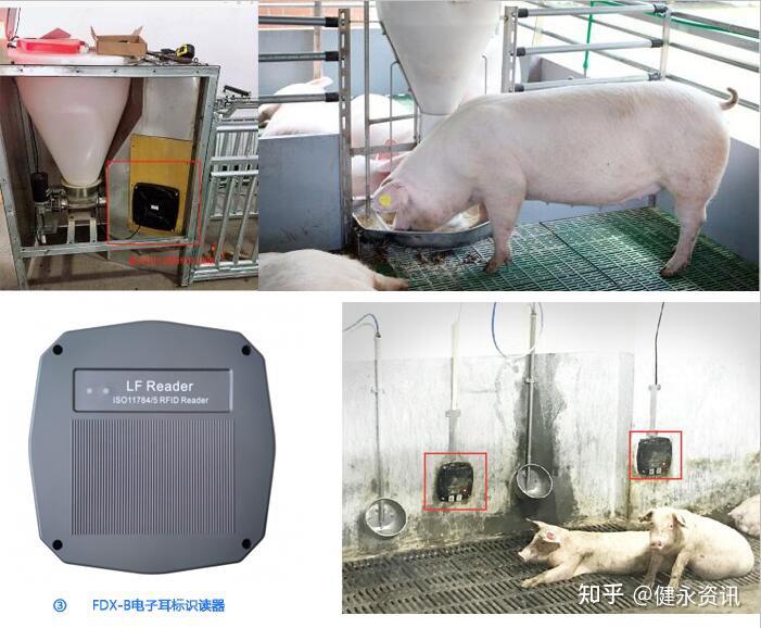 广东值得推荐的RFID猪牛羊养殖设备厂家有哪些? - 知乎