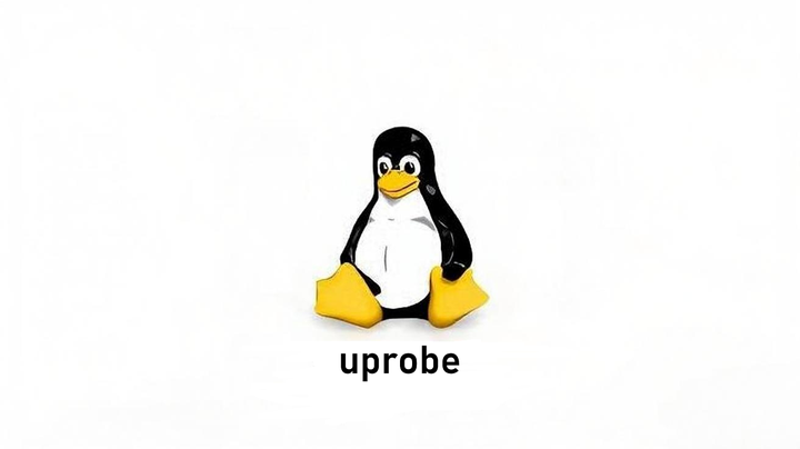 Linux uprobe：动态追踪用户态程序的利器 - 知乎