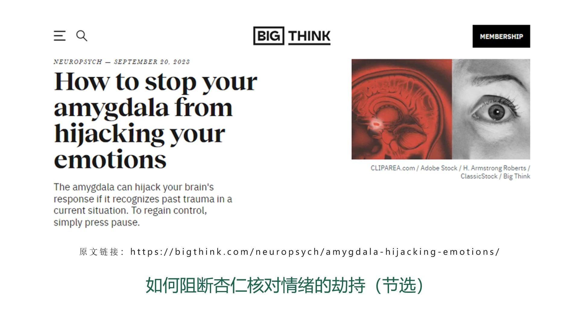 杏仁核劫持（Amygdala hijack）是什么？ - 知乎
