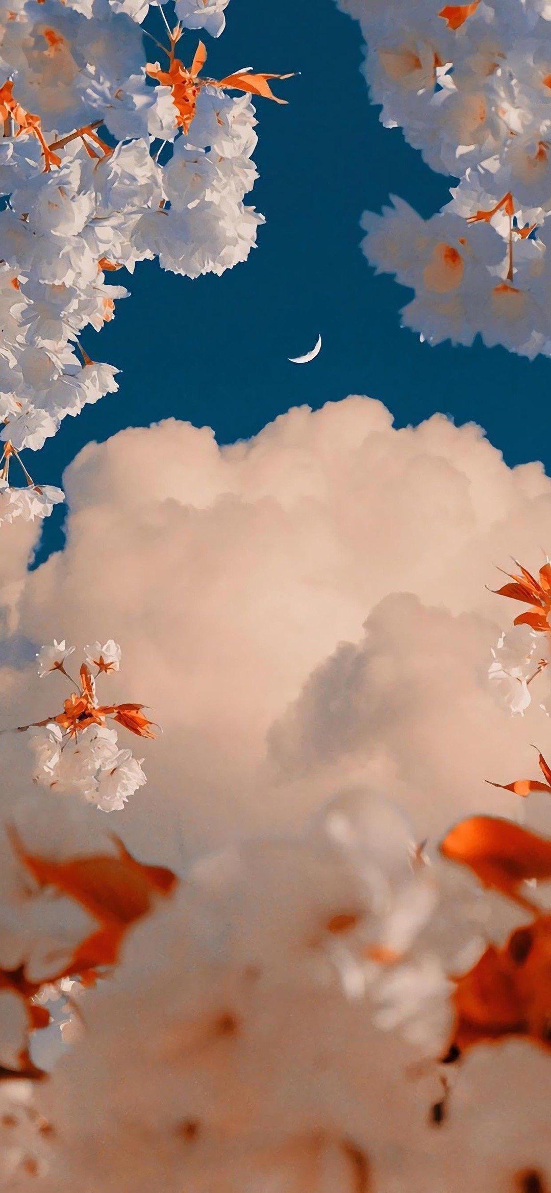 微信更新了,大家有没有好看高质量的图片用来当微信状态图? - 知乎