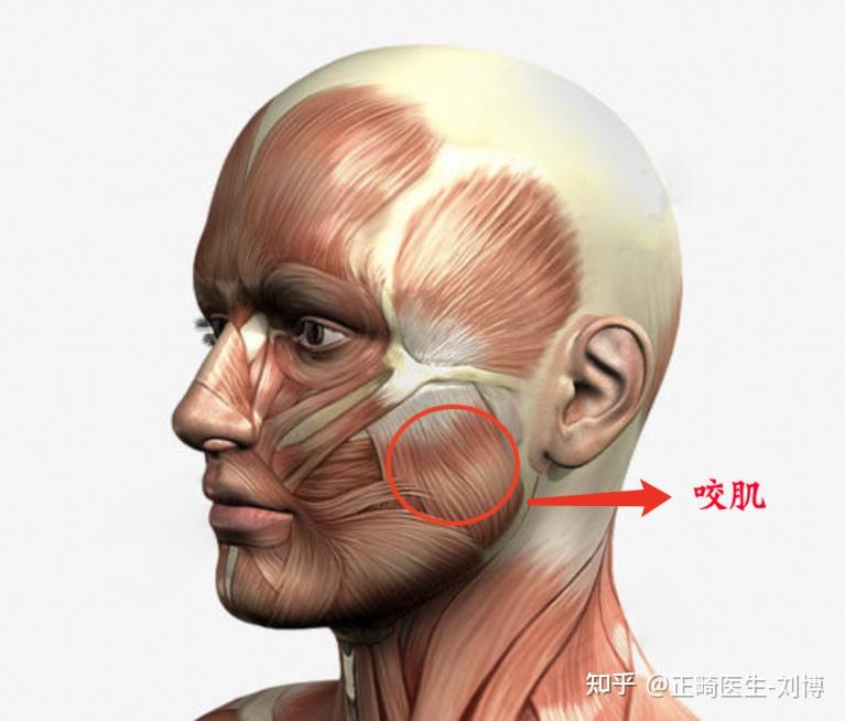 有哪些是你带了牙套才知道的事情?