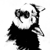 Rounded avatar
