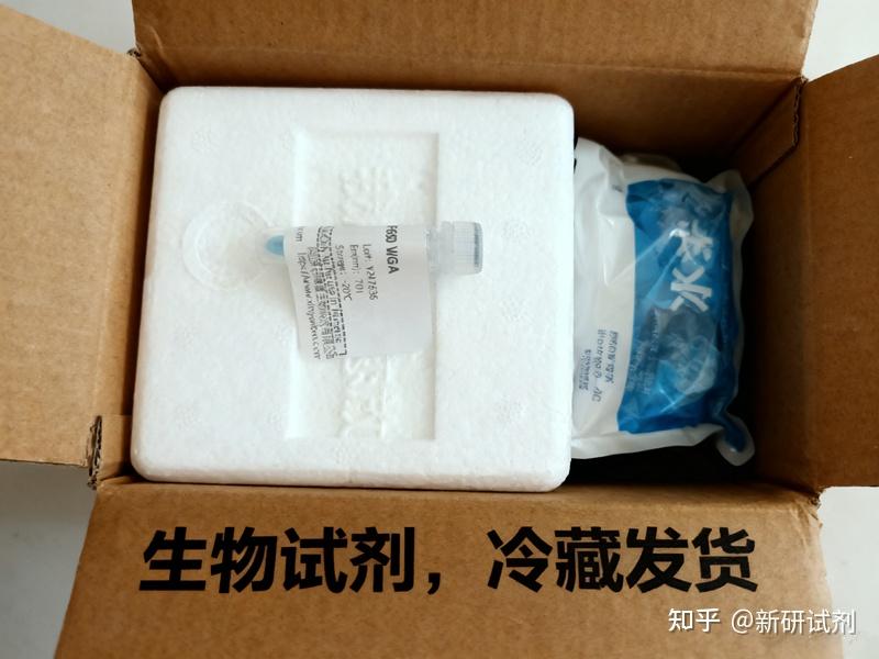 Alexa Fluor 488 Phalloidin是在细胞生物学和成像领域中应用极广的化合物 - 知乎