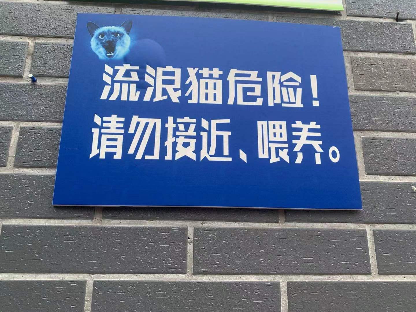 想在小区内饲养野猫 可以提些建议吗? 