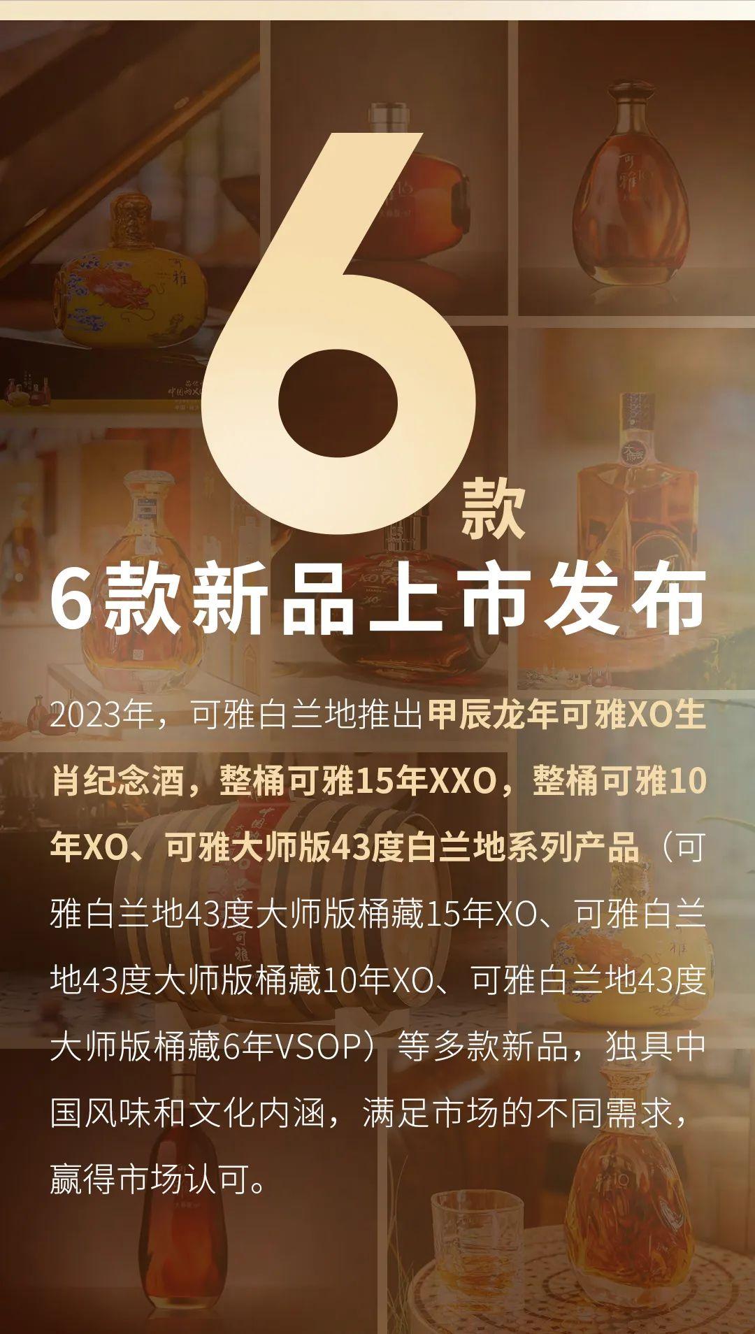 2023丨可雅白兰地年度数字盘点 - 知乎