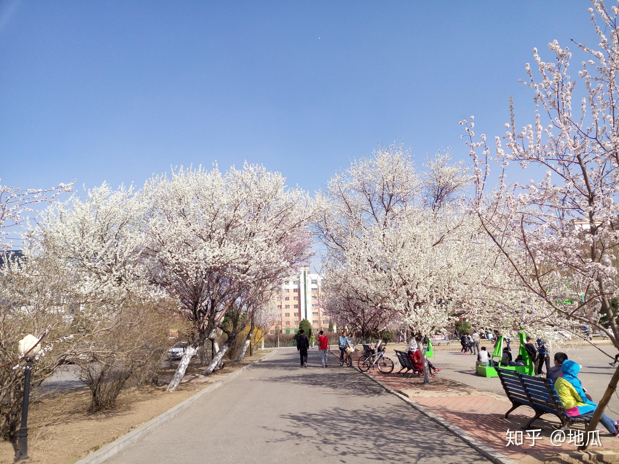 沈阳药科大学雕像图片