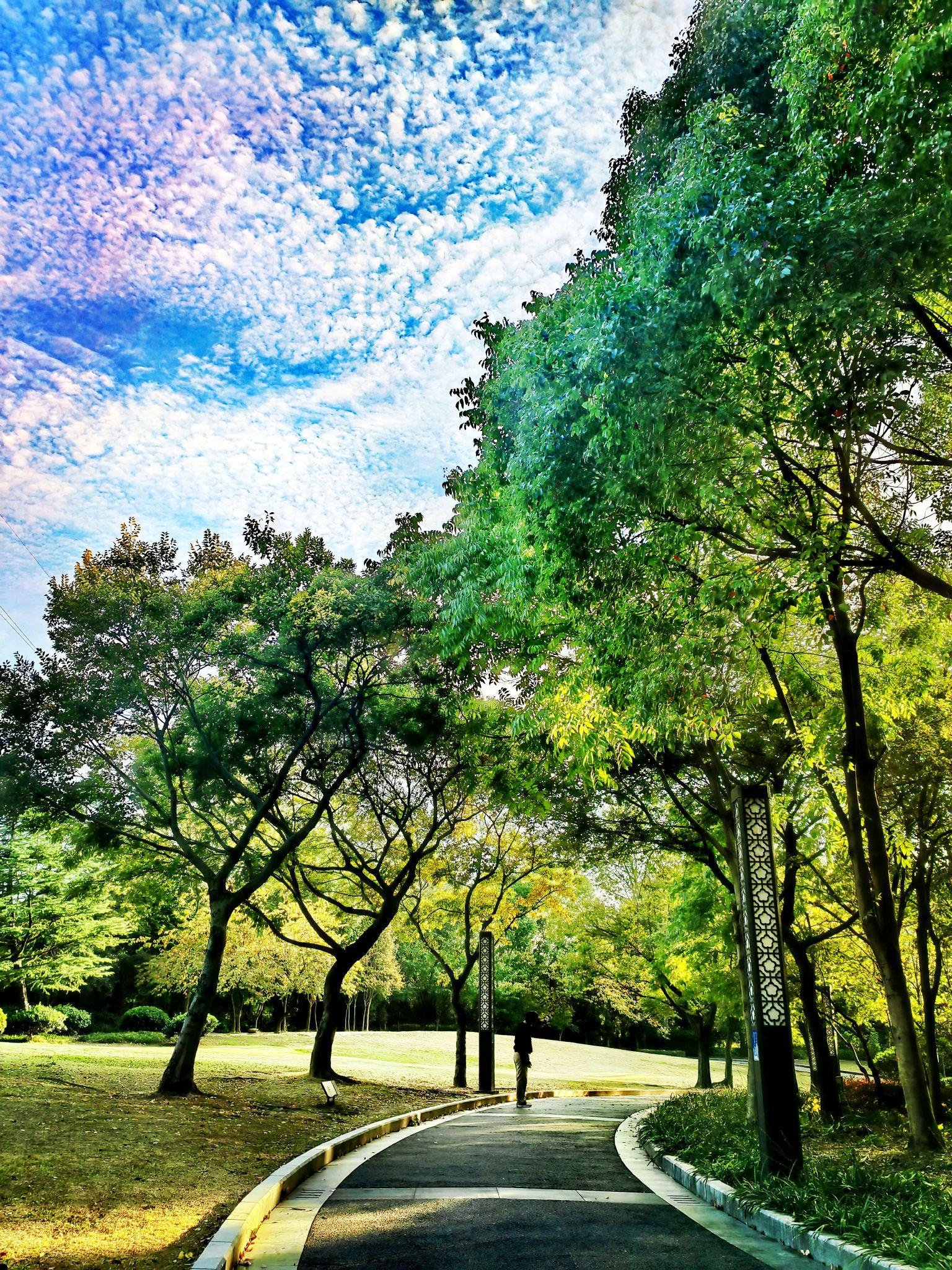 晴天和阴天你喜欢哪个?