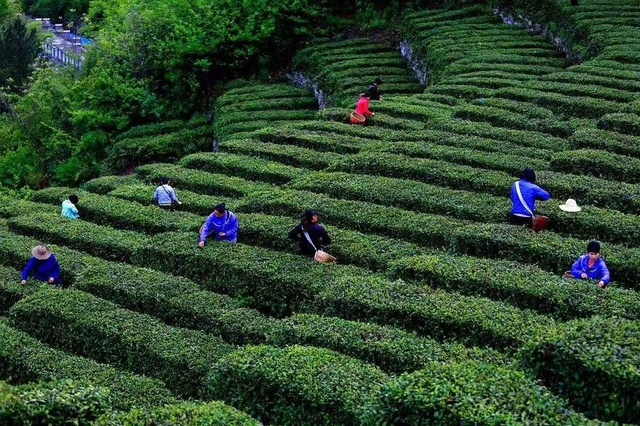 陕西省安康市:依托优势资源 做大特色产业