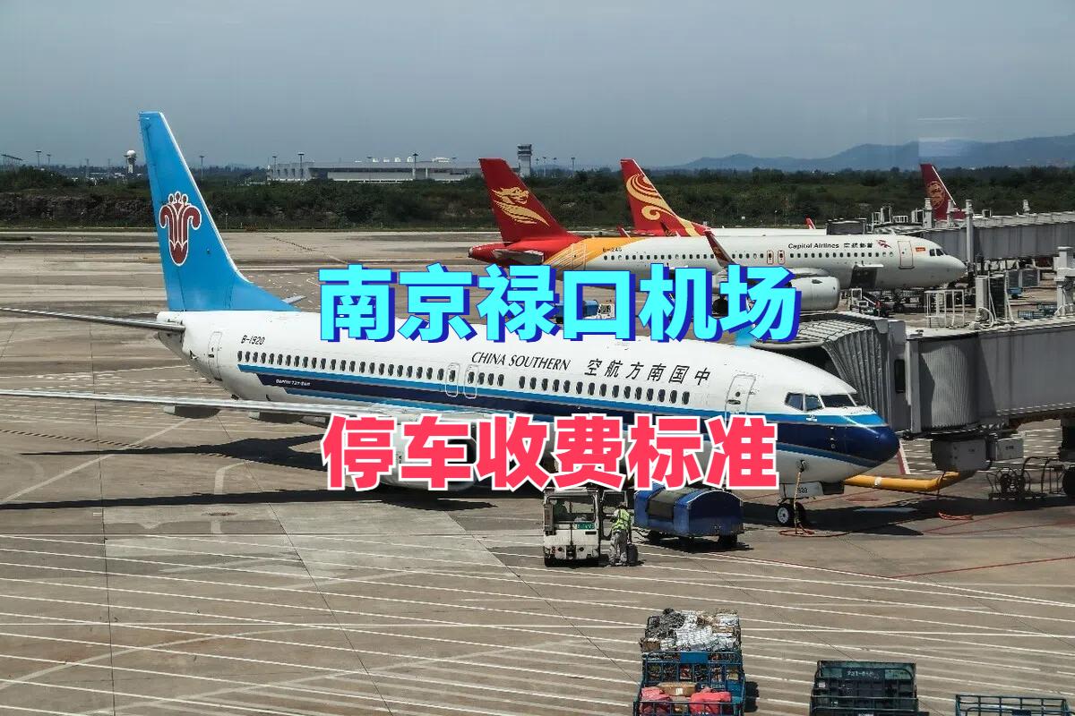 请问南京禄口机场大巴最晚到什么时候,凌晨一点到南京