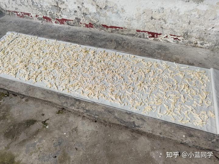 人，可以废物到什么程度？
